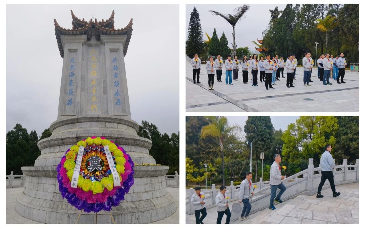 微信图片_2026-03-11_155150_955.jpg 微信图片_2026-03-11_155150_955.jpg